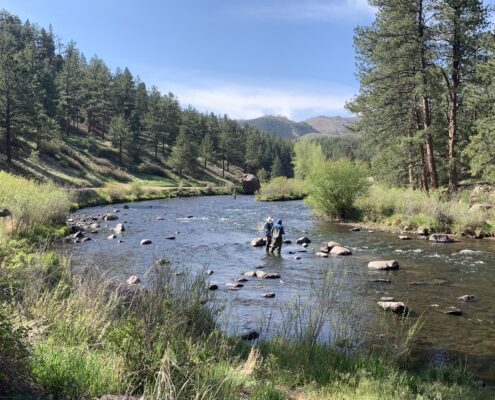  Fishing Discover Deckers Colorado